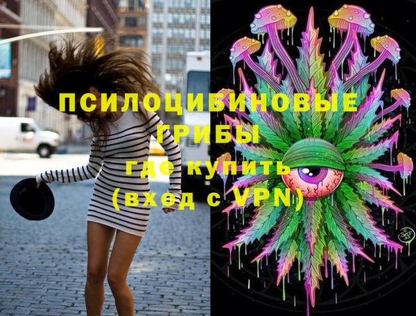 МДПВ Богданович