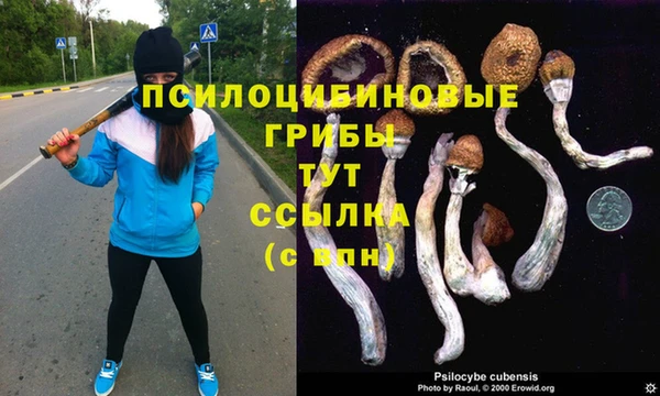МДПВ Богданович