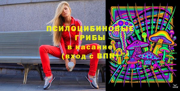 МДПВ Богданович