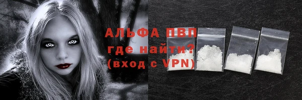 трава Белокуриха