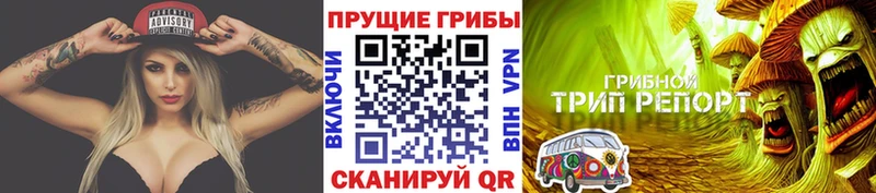 где можно купить наркотик  Бодайбо  Галлюциногенные грибы мухоморы 